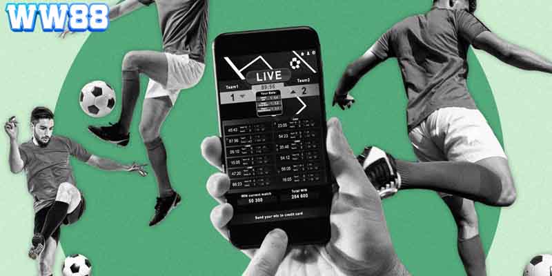 Trải nghiệm cá cược trực tiếp với hệ thống live đặc sắc